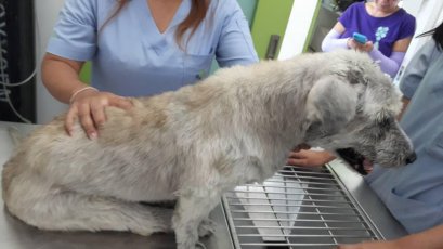 “คันคั้นคันอะไรเบอร์นี้ หมอเฉพาะทางมีคำตอบให้”